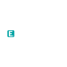 E-Educators