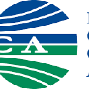 International Council of Chemical Associations (ICCA
